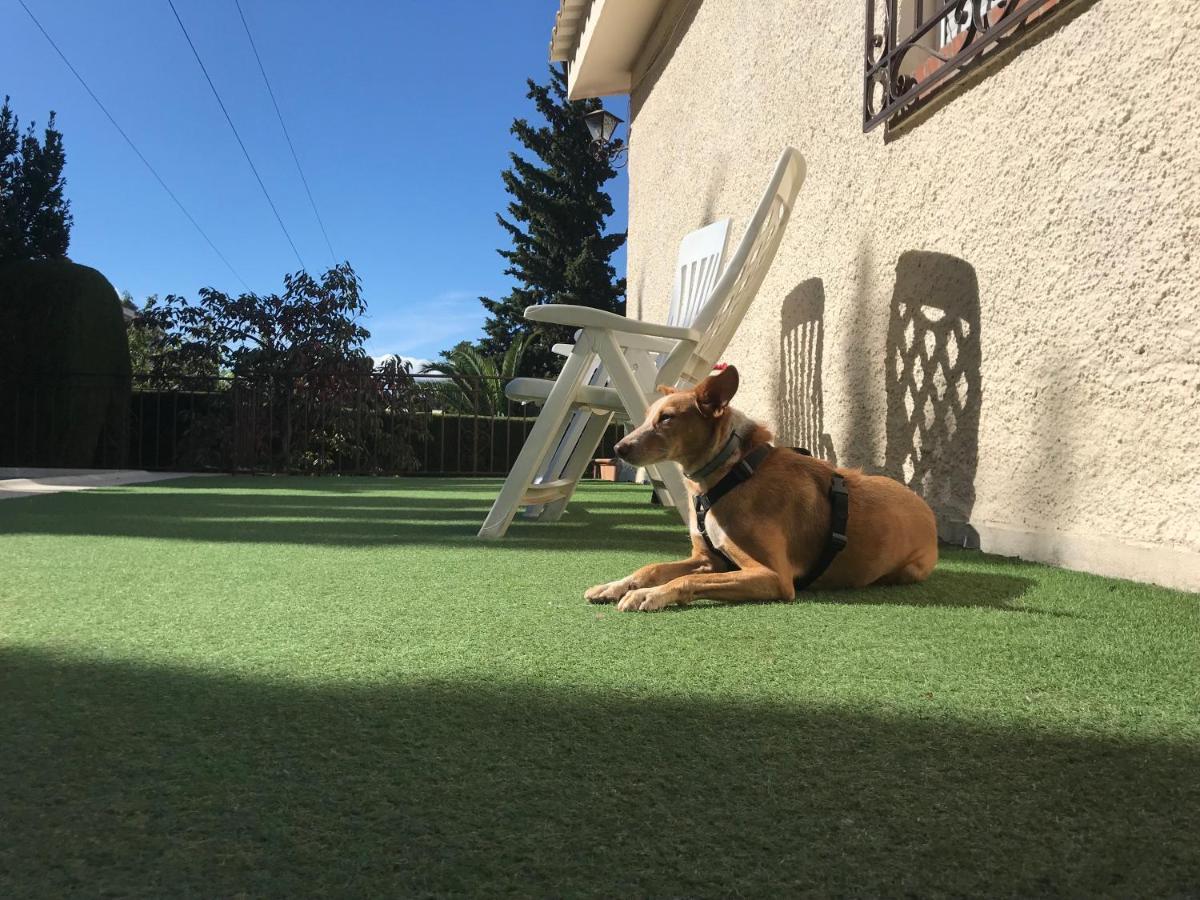Villa Jazmin Monachil Dış mekan fotoğraf